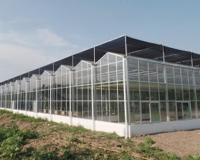 溫室大棚在建造時的注意事項有哪些？